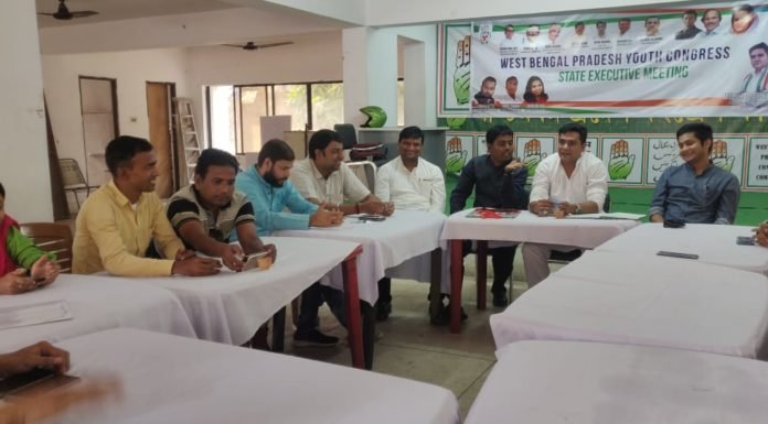 प्रदेश युवा कांग्रेस कमिटी की राज्य कार्यकारिणी की बैठक