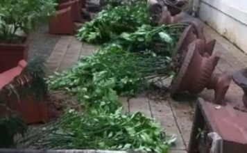 बाबा साहेब अंबेडकर के मुंबई वाले घर में तोड़फोड़, जांच में जुटी पुलिस – महाराष्ट्र के गृहमंत्री अनिल देशमुख ने घटना की जांच के आदेश दिए. – प्रकाश अंबेडकर ने लोगों से शांति बनाए रखने की अपील की है.