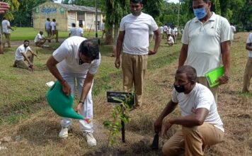 कल्याणी में बीएसएफ ने 2700 पौधे लगाए